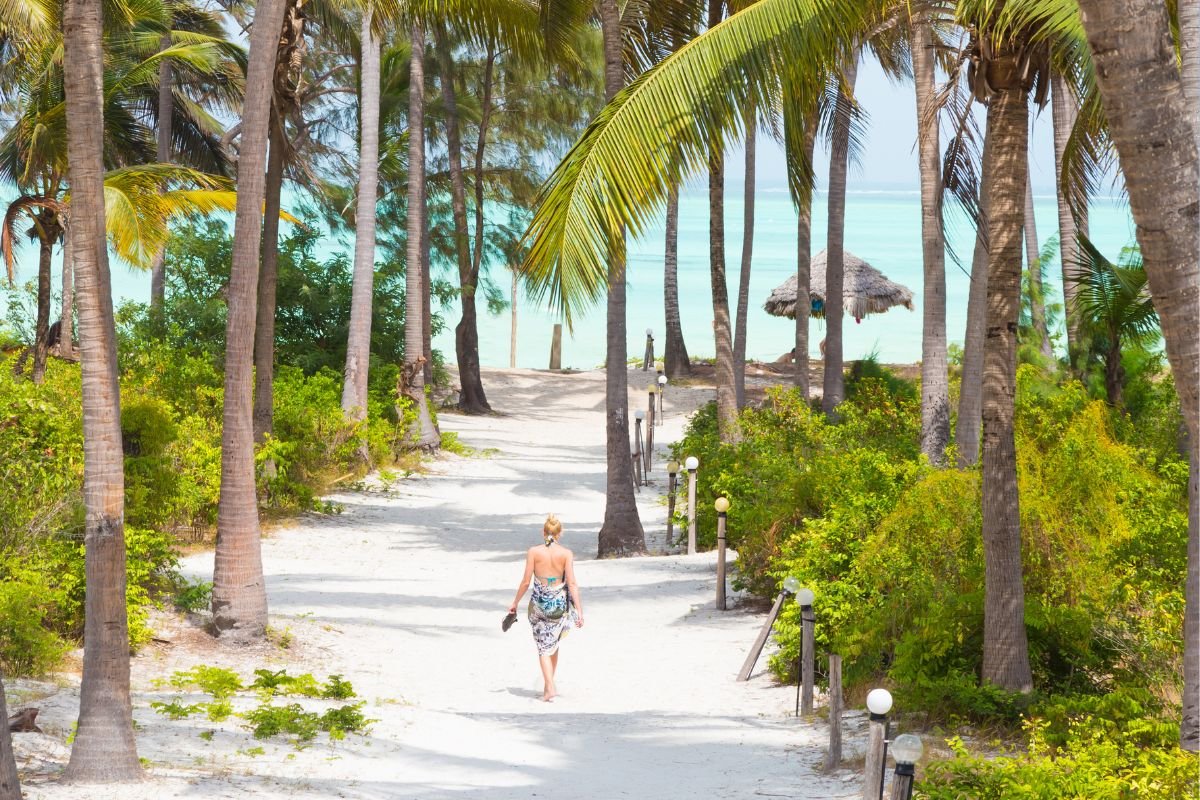 xr:d:DAFuuHzHwC8:74,j:29677588705373604,t:23092704